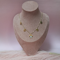 Collana Zampina